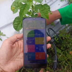 Akademi Pertanian Indonesia – Inovasi Edukasi Pertanian Modern untuk Milenial